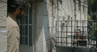 Переводчик  (2020)