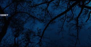 В бреду (2022)