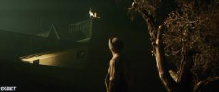   (2021)