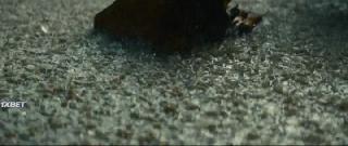   (2021)