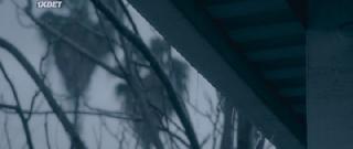 Выпрямись и лети ввысь (2022)