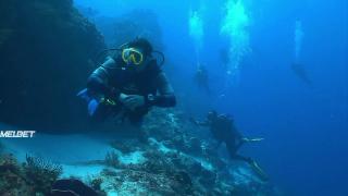 Зиллафут (2019)