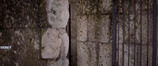 Священные звери  (2019)