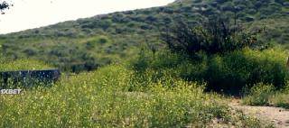 Шершни-убийцы (2020)