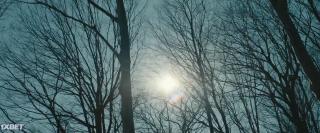 Госпожа (2022)