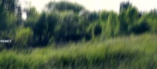 Шершни-убийцы (2020)