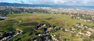 Шершни-убийцы (2020)