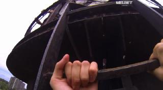 Терапевтические псы (2022)