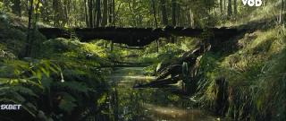 Республика детей (2021)