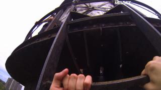 Терапевтические псы (2022)