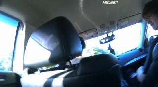 Терапевтические псы (2022)