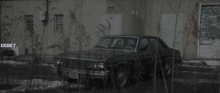 Отец мух (2021)