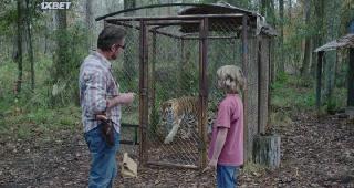 Парящий тигр (2022)