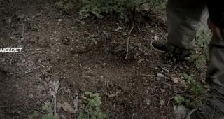 Округ Сэмсквэнча (2020)