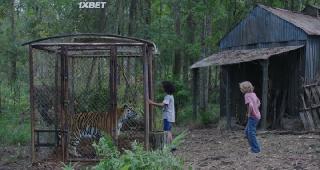 Парящий тигр (2022)