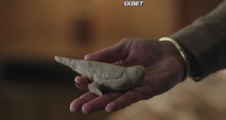 Парящий тигр (2022)