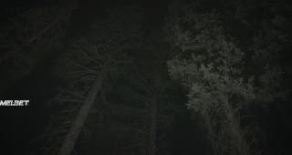 Округ Сэмсквэнча (2020)