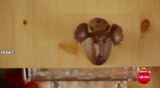 Рождество в Монтане (2021)