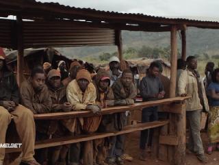 Жёлтый зверь (2020)