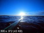 8381eca987a4e7021e609ab33275c7c8.jpeg