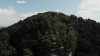 Последний крик (2021)