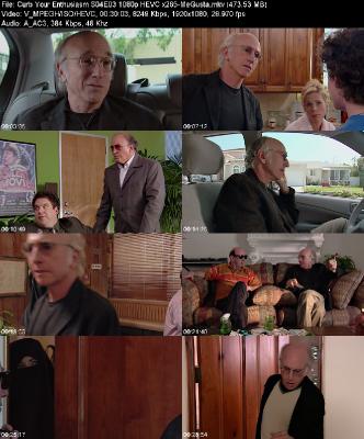 Curb Your Enthusiasm S04E03 1080p HEVC x265-[MeGusta]