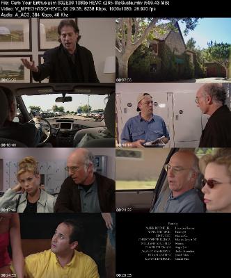 Curb Your Enthusiasm S02E09 1080p HEVC x265-[MeGusta]