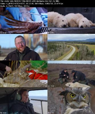 Arctic Vets S02E10 720p HEVC x265-[MeGusta]