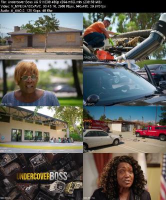 Undercover Boss US S11E08 480p x264-[mSD]