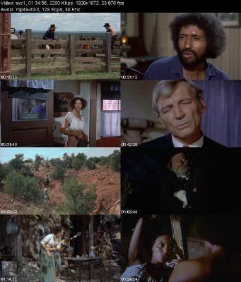 Thomasine Bushrod (1974) [1080p] [WEBRip] [YTS MX]