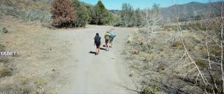 Фолловер (2022)