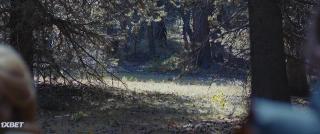 Фолловер (2022)