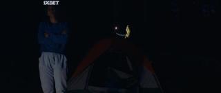 Фолловер (2022)