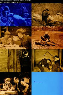 Back To Gods Country 1919 720p BluRay x264 AAC