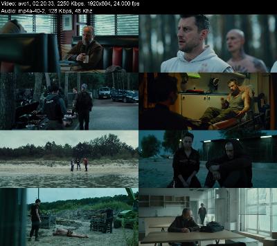 Furioza (2021) [1080p] [WEBRip]